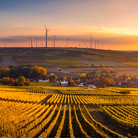 Mars erzielt Rekordwert bei der Reduktion seiner globalen Treibhausgasemissionen